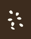 Seed