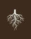 Root