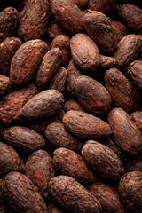 cacao husk cacao husk