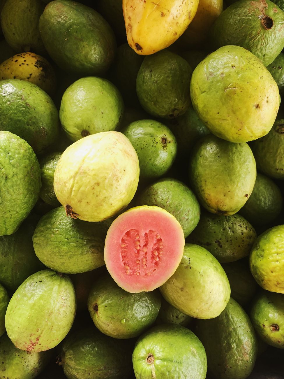 guava leaf and lemongrass: the plants inside caya