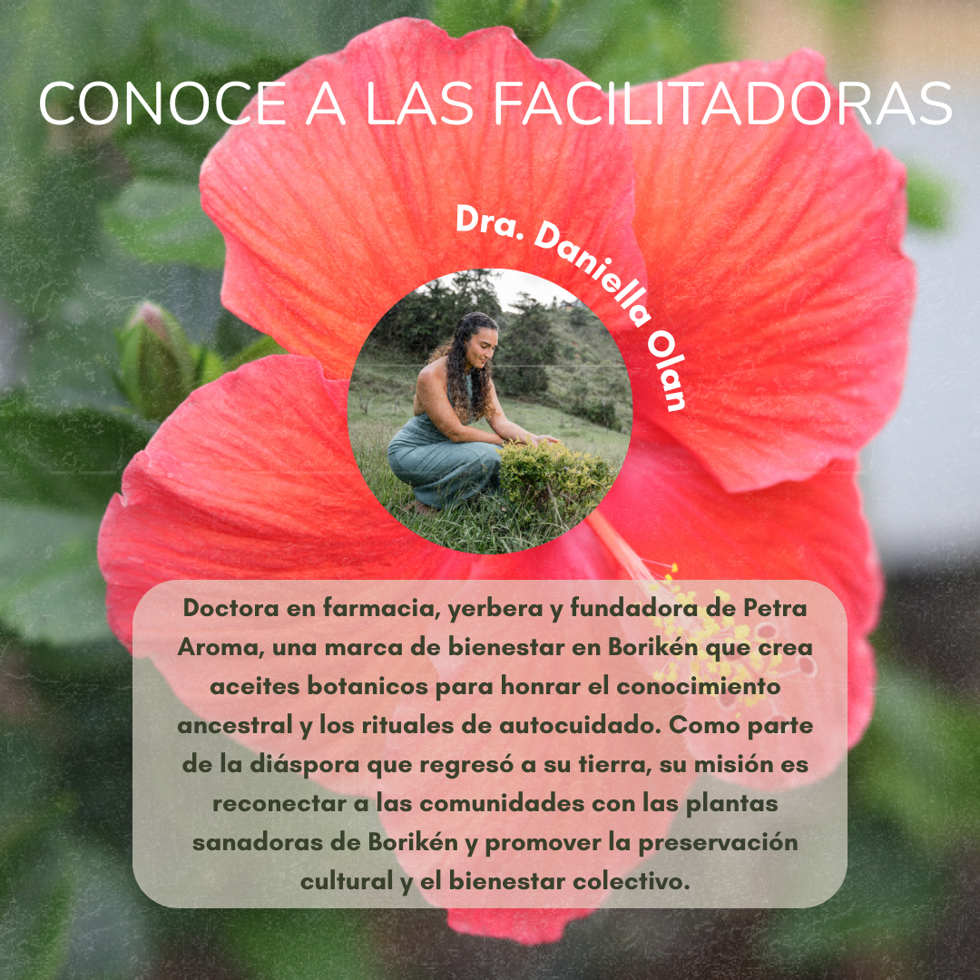 Graphic featuring a large red hibiscus flower background with a circular photo of Dr. Daniella Olan kneeling outdoors, surrounded by greenery. Text reads ‘Conoce a las facilitadoras’ and ‘Dra. Daniella Olan.’ Below, a Spanish paragraph describes her as a pharmacist, herbalist, and founder of Petra Aroma, a wellness brand in Borikén that creates botanical oils to honor ancestral knowledge, self-care rituals, and collective well-being