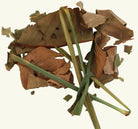Dried leaves and herbs on a white background