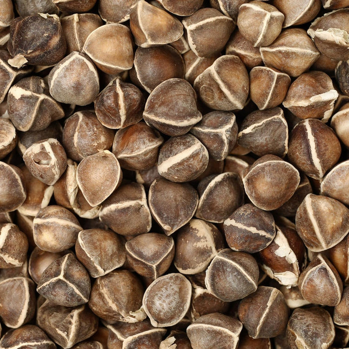 Moringa