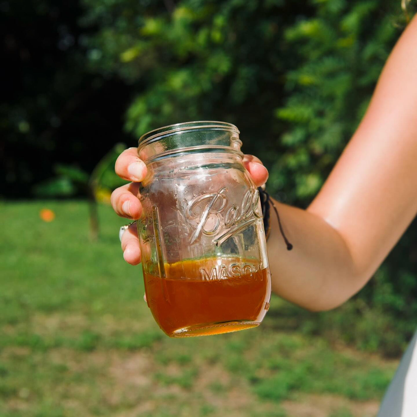 Reclaiming Wellness with Caribbean Plant Science