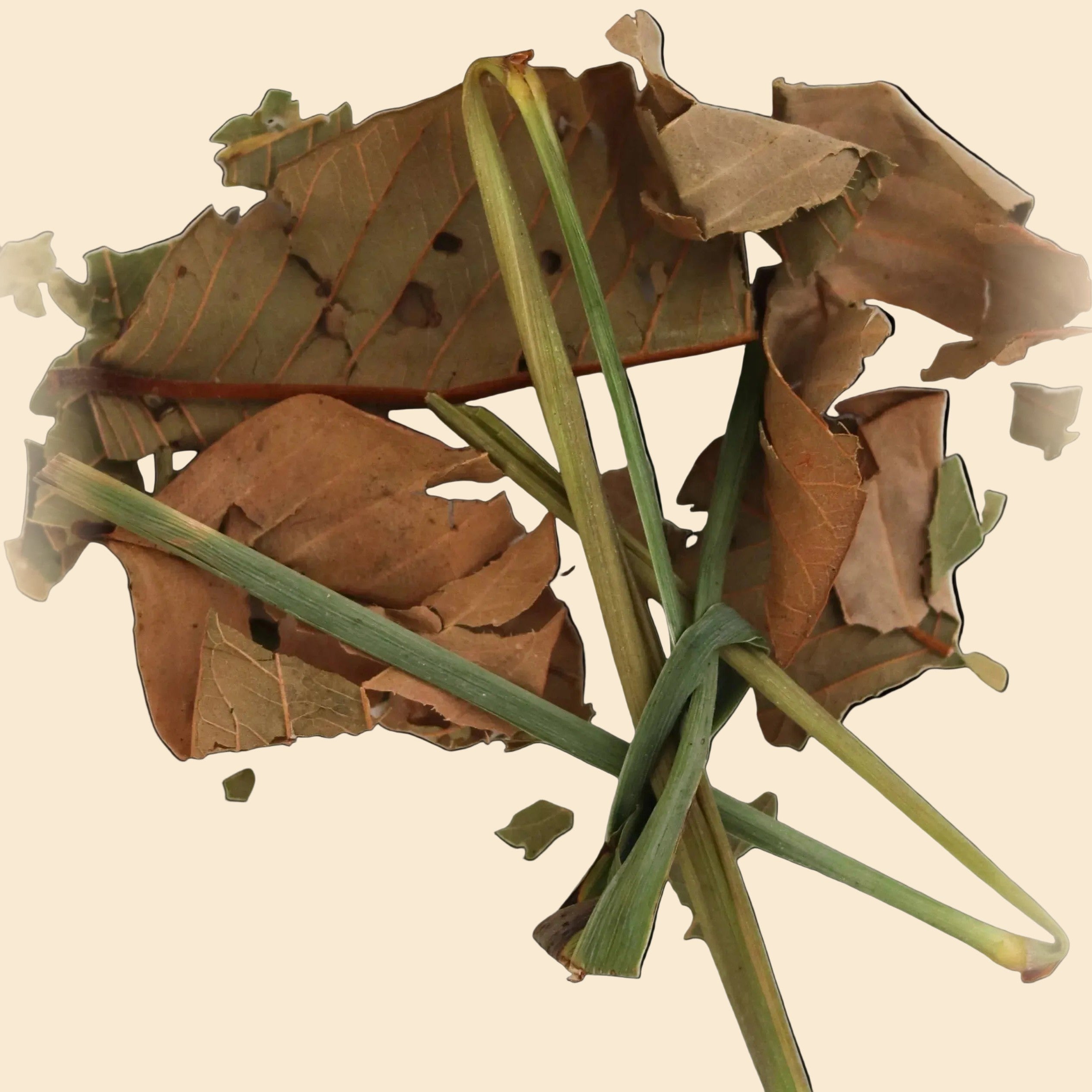 Caya herbs