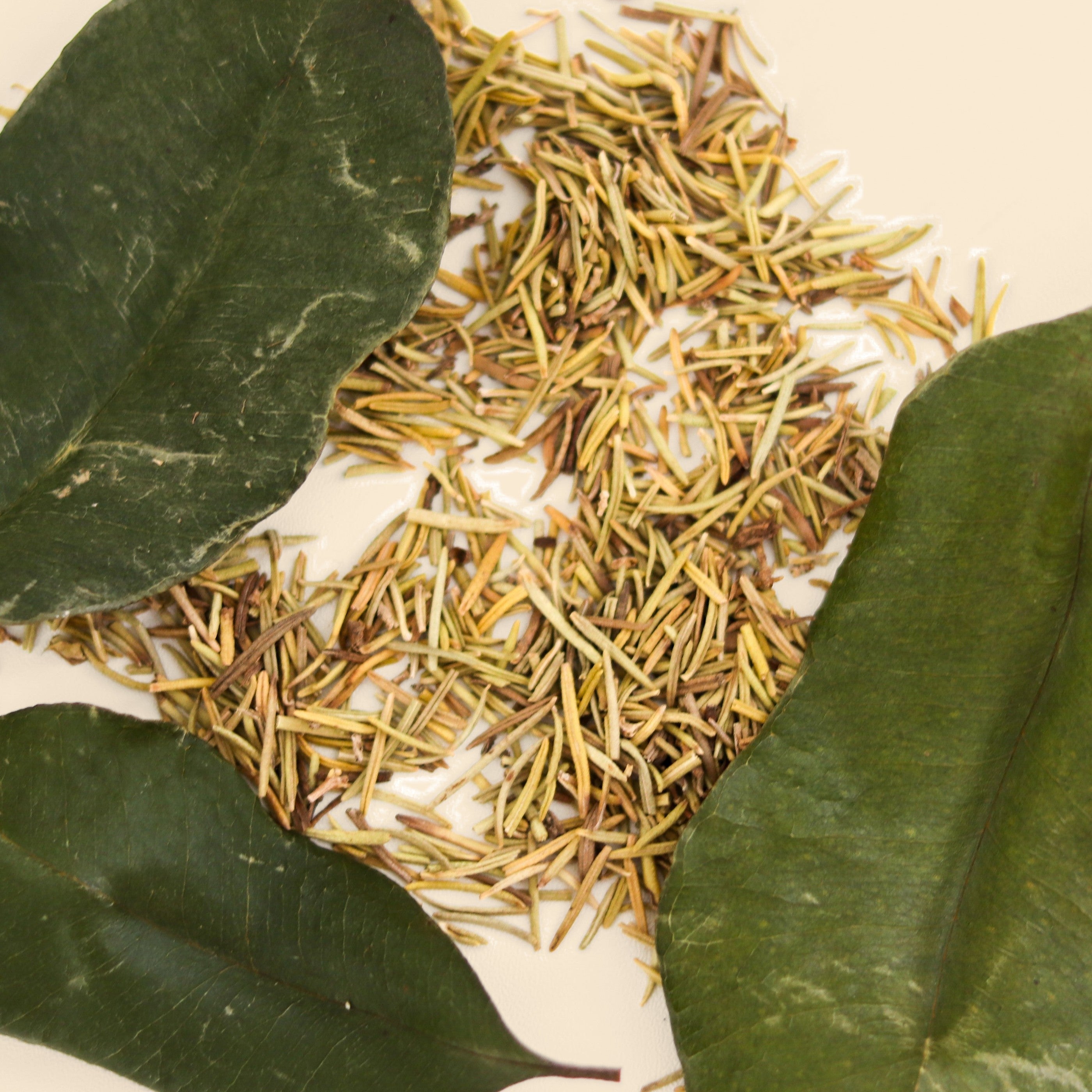 Guada herbs