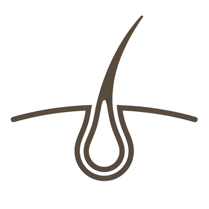 hair loss very simple icon maybe just a hair folicle