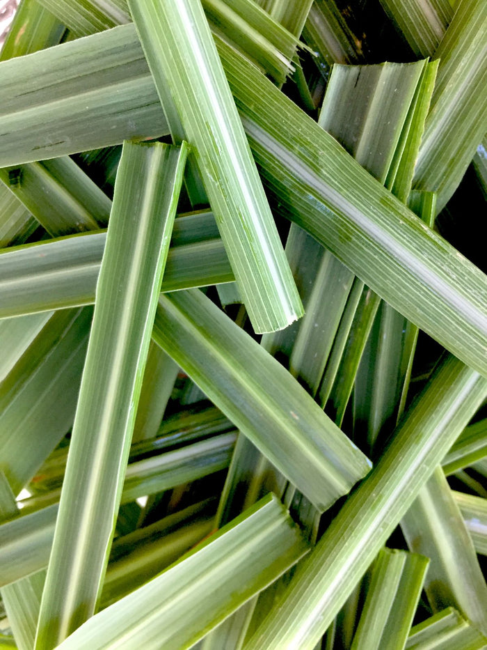 Lemongrass