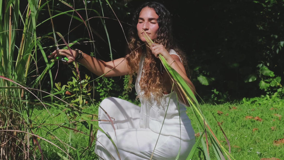 Petra Aroma founder story - Dr. Daniella